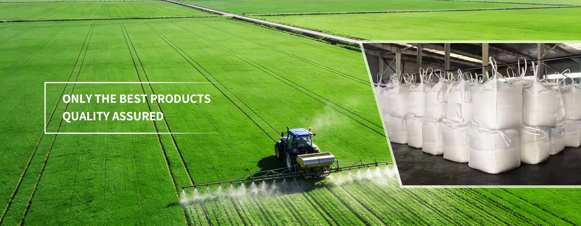 Qualidade garantida apenas os melhores produtos Qualidade garantida apenas os melhores produtos